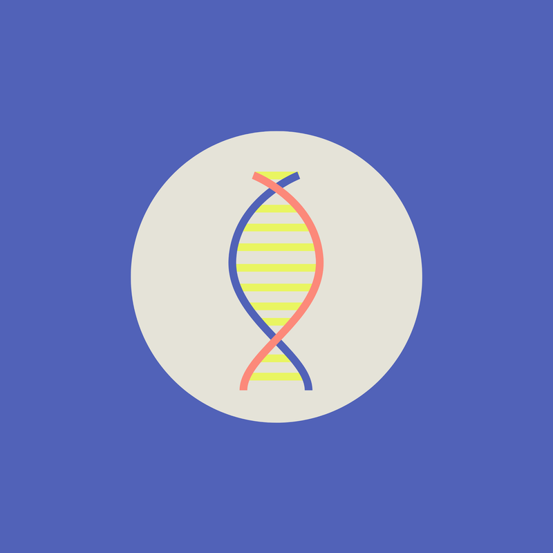What is DNA Fragmentation?