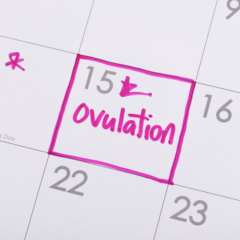 How Accurate Are Ovulation Tests? Hint: Very!