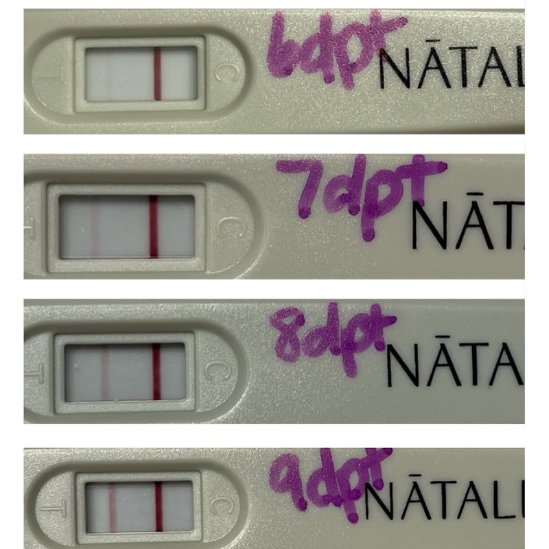 Pregnancy Test Results After a Frozen Embryo Transfer