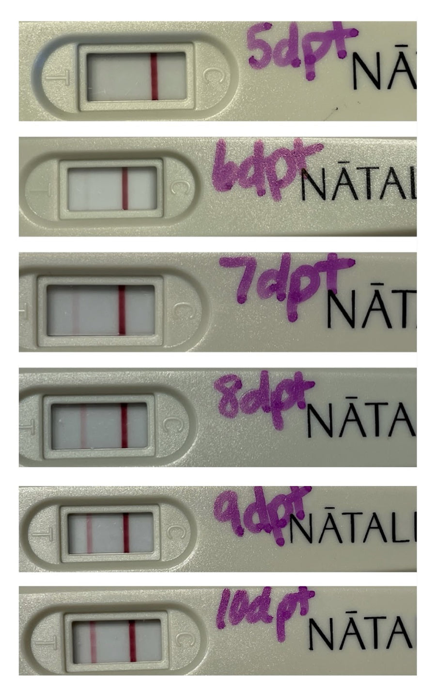 Pregnancy Test Results After a Frozen Embryo Transfer - Natalist