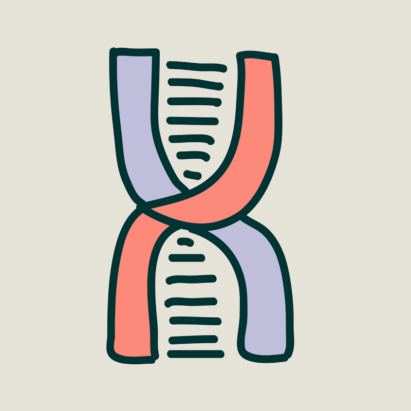 Guide to Genetic Testing