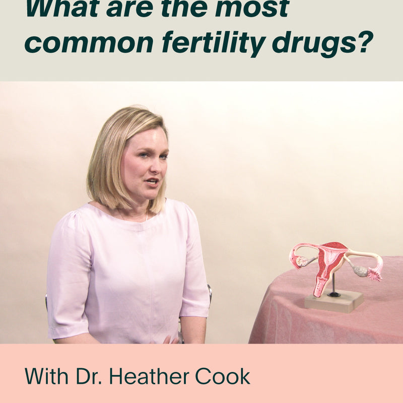 What are the Most Common Fertility Drugs?